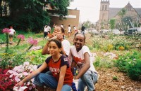 Community Gardens 1