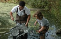 Jr. BioBlitz