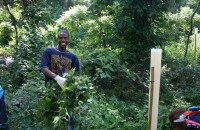 Green Team 08