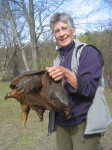 Anne Megaro, Director of Land Programs