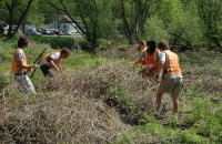 River Restoration 1