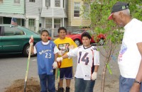 Tree Planting 2