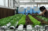 Now Hiring New High School Interns for Science Barge