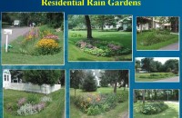 Rain garden photos