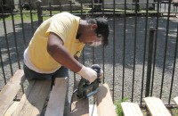 Public Housing Landscape Training & Employment Program