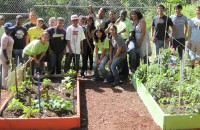 Community Garden Walnut group horizontal