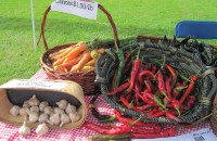 Food closeup IMG_2621