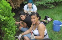 Neighborhood Greening